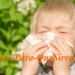 Medicamentos Para Alergias Respiratorias En Niños