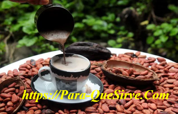 Manejo Integrado De Plagas Y Enfermedades Del Cultivo De Cacao